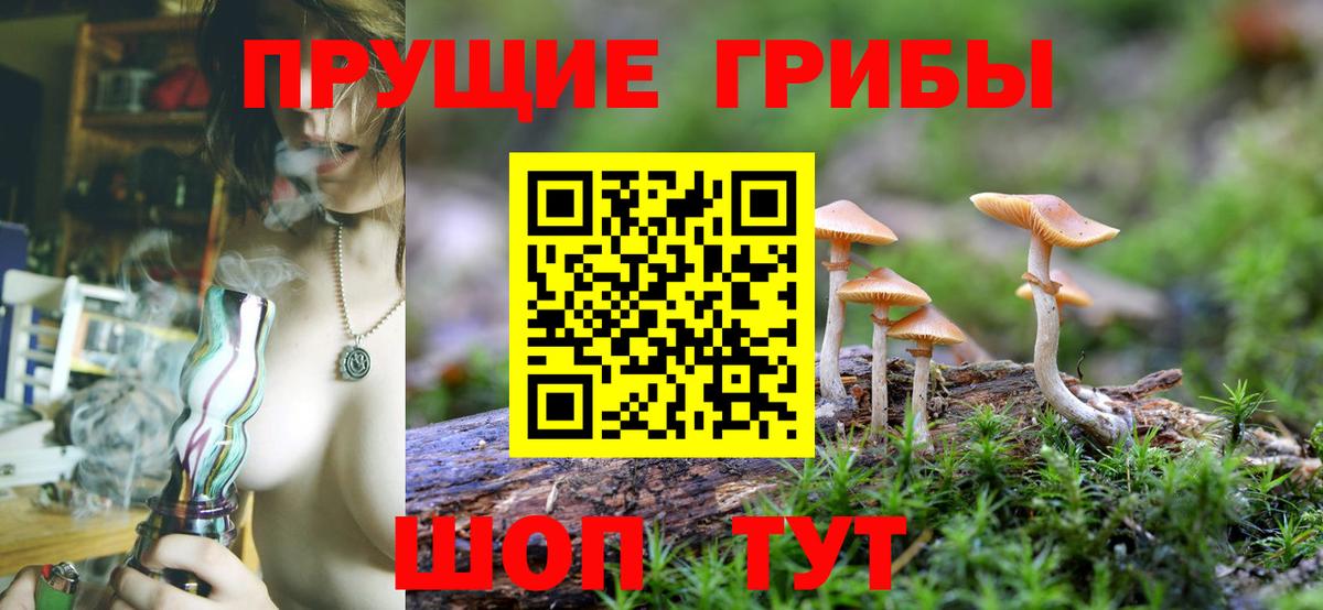 Галлюциногенные грибы Cubensis Биробиджан